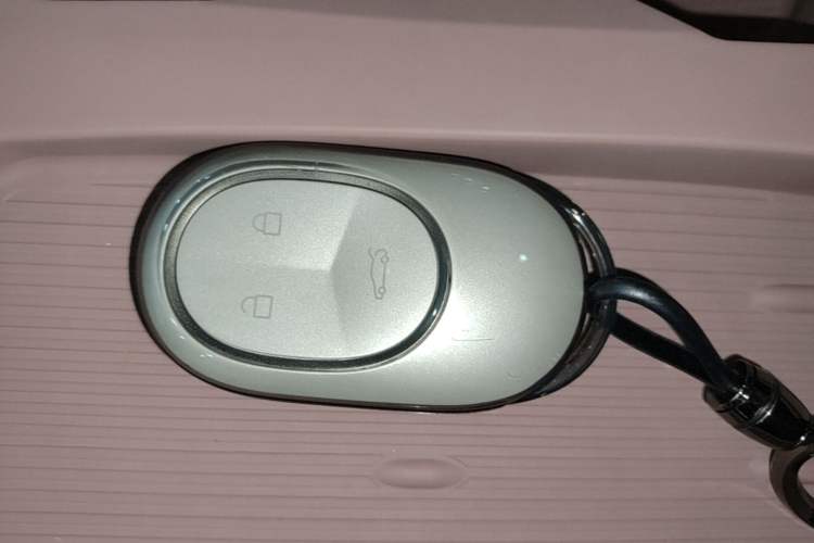 Used Nio EC6 2024 75 kWh Vehicle Key
