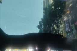 Thumbnail 19
