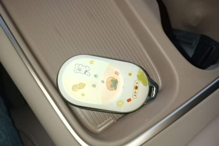 Used Nio EC6 2024 75 kWh Vehicle Key