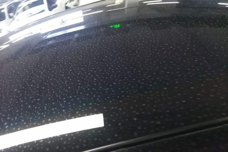 Used Nio EC6 2025 75 kWh Roof