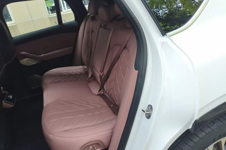 Used Nio EC6 2025 75 kWh Left Rear Seat