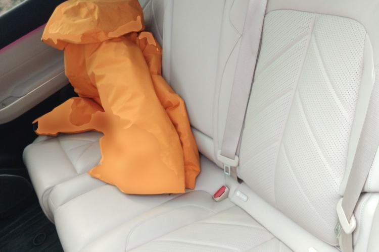 Used Nio EC7 2023 100kWh First Edition Left Rear Seat