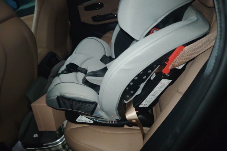 Used Nio ES6 2019 420 km Sport Version Left Rear Seat