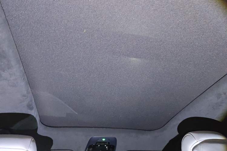 Used Nio ES6 2019 430KM First-Edition Commemorative Version Headliner