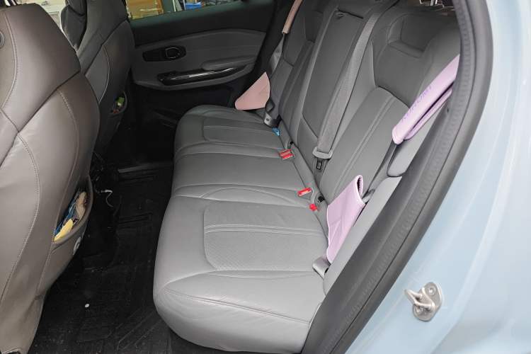 Used Nio ES6 2019 430 km Performance Version Left Rear Seat