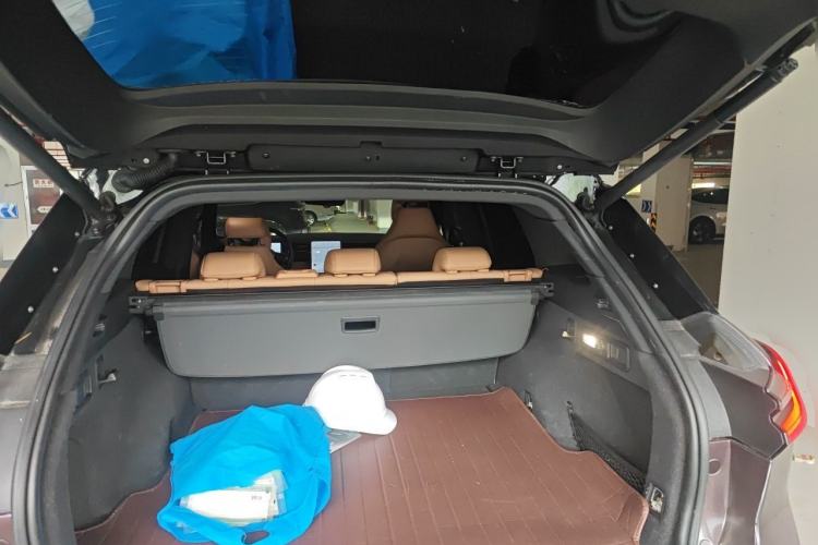 Used Nio ES6 2019 430 km Performance Version Trunk