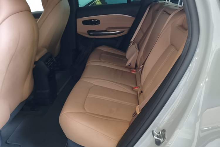 Used Nio ES6 2019 420 km Sport Version Left Rear Seat