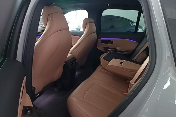 Used Nio ES6 2019 430 km Performance Version Left Rear Seat