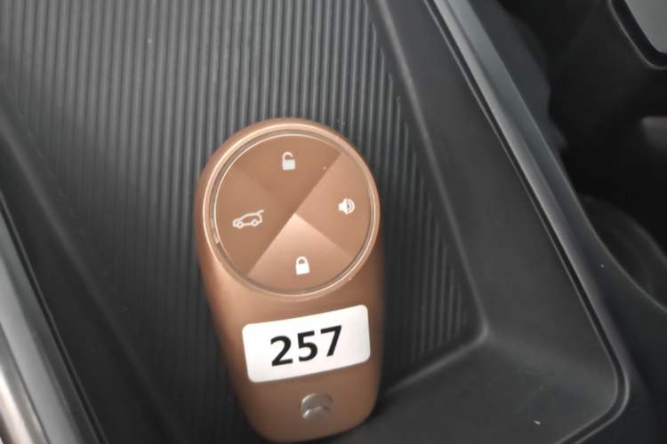 Used Nio ES6 2019 420 km Sport Version Vehicle Key