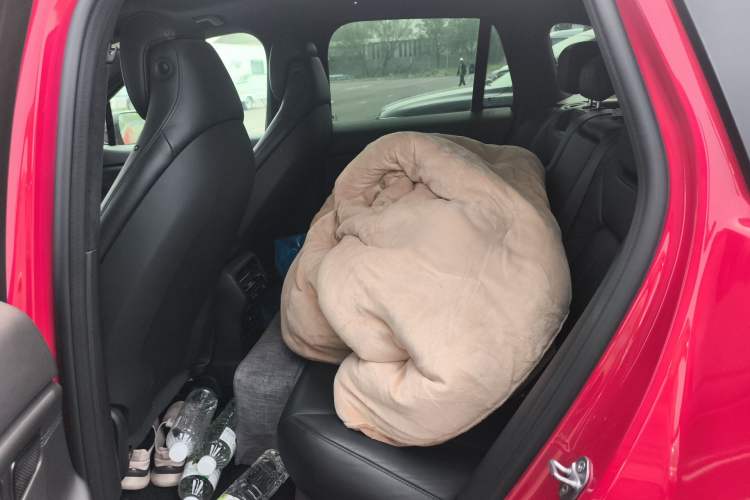 Used Nio ES6 2019 430KM First-Edition Commemorative Version Left Rear Seat