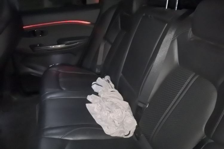 Used Nio ES6 2019 420 km Sport Version Left Rear Seat
