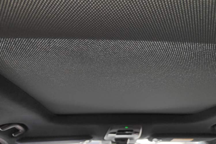 Used Nio ES6 2019 430KM First-Edition Commemorative Version Headliner