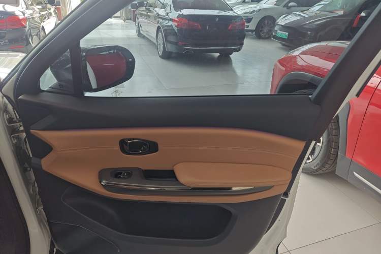 Used Nio ES6 2019 430 km Performance Version Right Front Door Interior