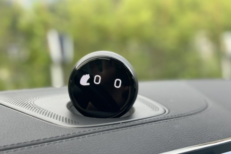 Used Nio ES6 2020 600 km Sport Edition Interior 1
