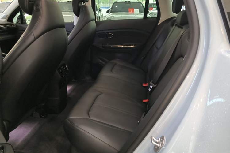 Used Nio ES6 2020 430KM Performance Version Left Rear Seat
