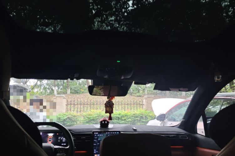 Used Nio ES6 2020 610 km Performance Version Headliner