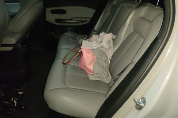 Used Nio ES6 2020 430KM Performance Version Left Rear Seat