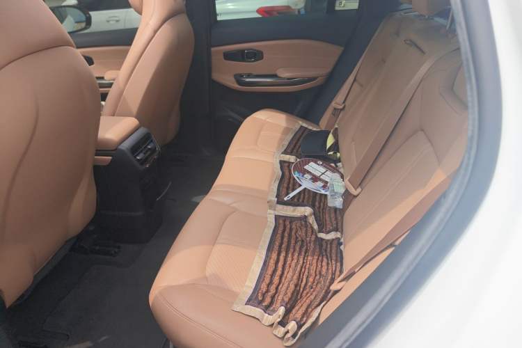 Used Nio ES6 2020 600 km Sport Edition Left Rear Seat