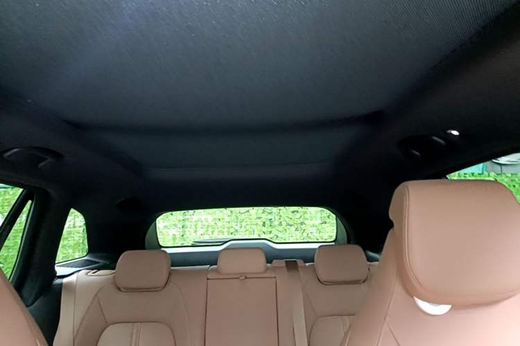 Used Nio ES6 2020 420 km Sport Edition Headliner