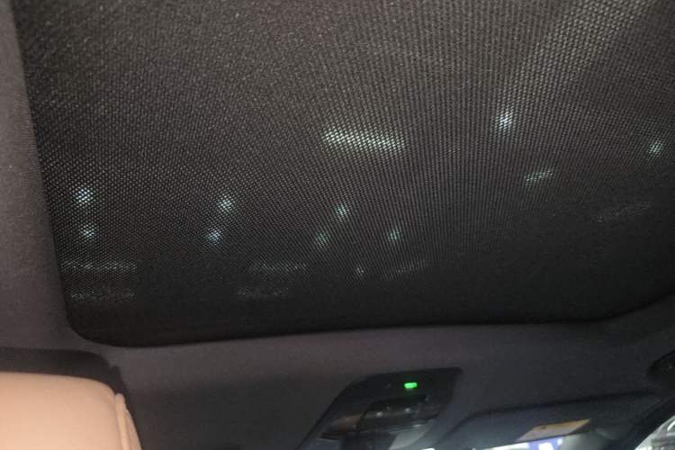 Used Nio ES6 2020 465 km Signature Edition Headliner