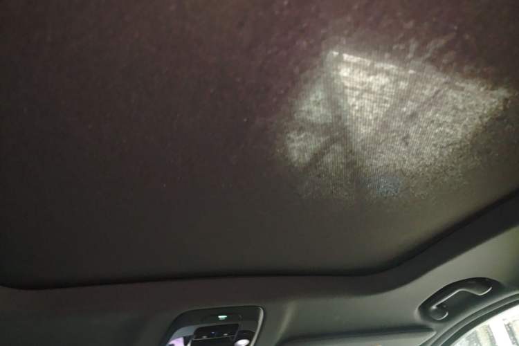 Used Nio ES6 2020 600 km Sport Edition Headliner