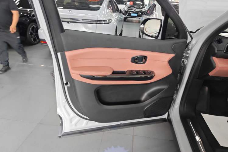 Used Nio ES6 2020 490 km Sport Edition Left Front Door Interior