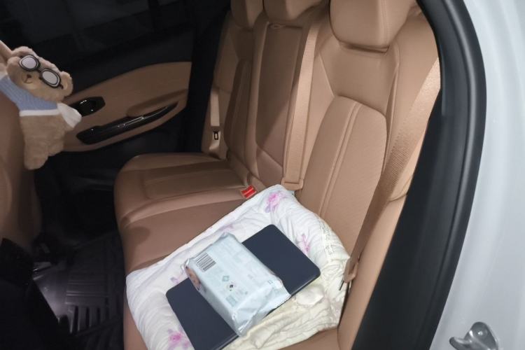 Used Nio ES6 2020 600 km Sport Edition Left Rear Seat