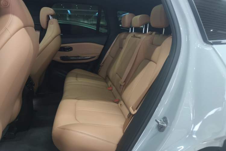 Used Nio ES6 2020 610 km Performance Version Left Rear Seat