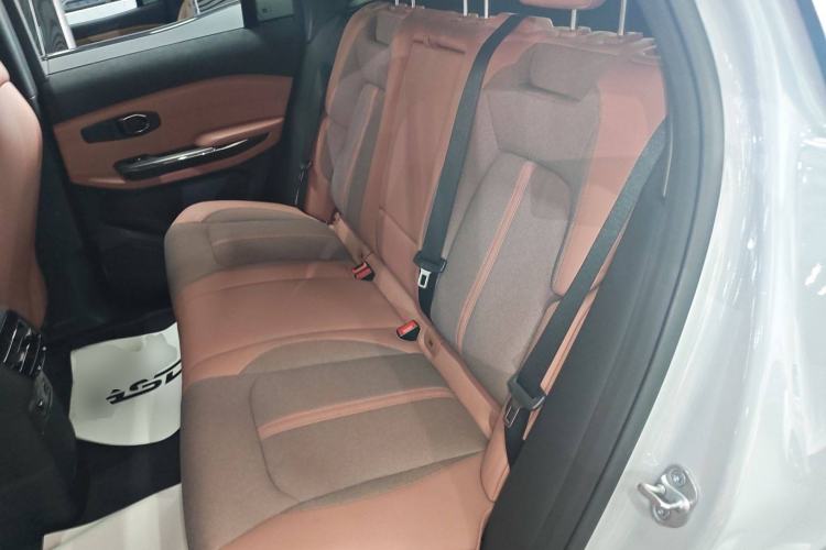Used Nio ES6 2020 490 km Sport Edition Left Rear Seat