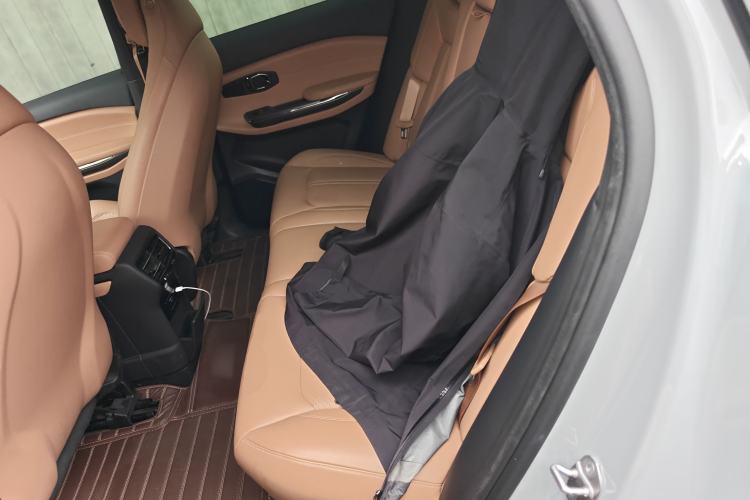 Used Nio ES6 2020 610KM Signature Edition Left Rear Seat