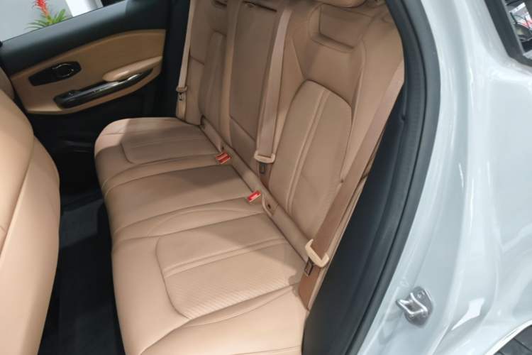 Used Nio ES6 2020 430KM Performance Version Left Rear Seat