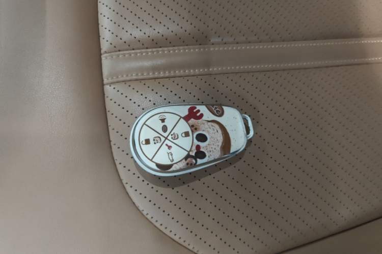 Used Nio ES6 2020 430KM Performance Version Vehicle Key