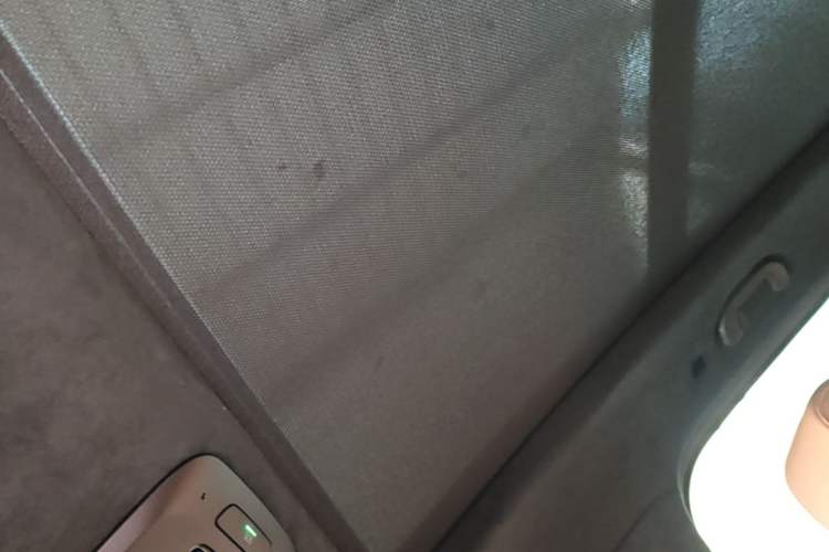 Used Nio ES6 2020 600 km Sport Edition Headliner