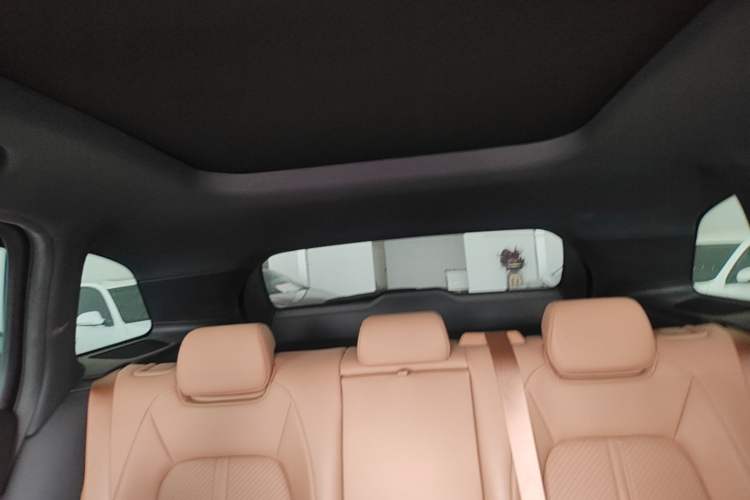 Used Nio ES6 2020 600 km Sport Edition Headliner