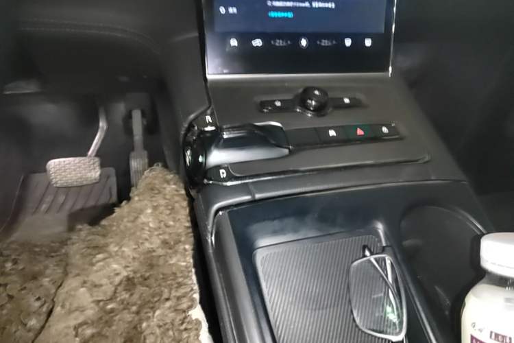 Used Nio ES6 2020 430KM Performance Version Gear Lever