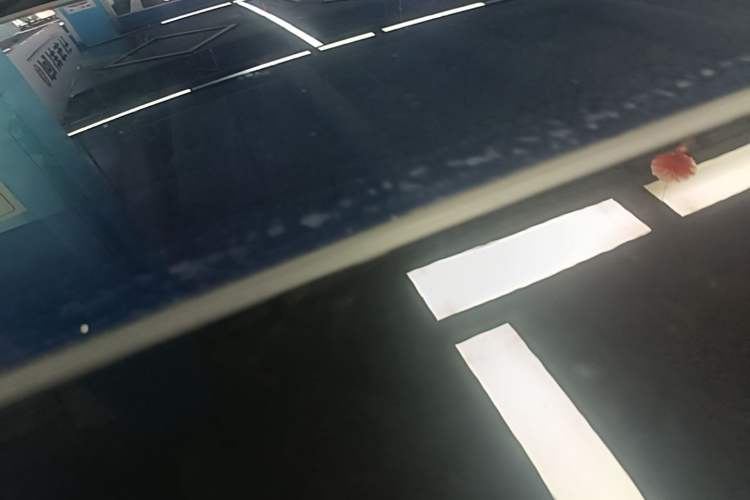 Used Nio ES6 2020 600 km Sport Edition Roof