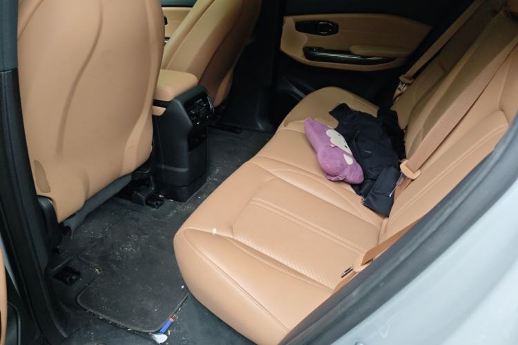 Used Nio ES6 2020 420 km Sport Edition Left Rear Seat