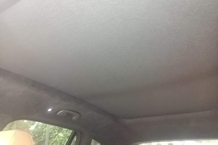 Used Nio ES6 2020 600 km Sport Edition Headliner