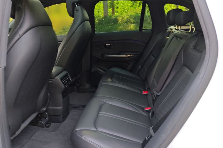 Used Nio ES6 2020 610 km Performance Version Left Rear Seat