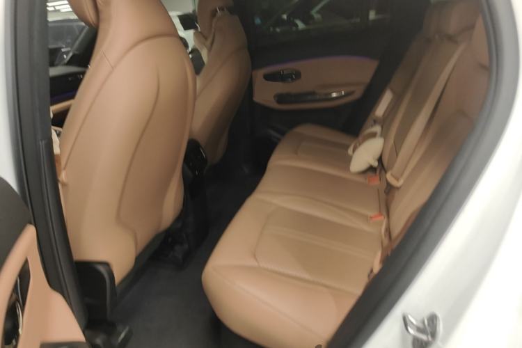 Used Nio ES6 2020 600 km Sport Edition Left Rear Seat