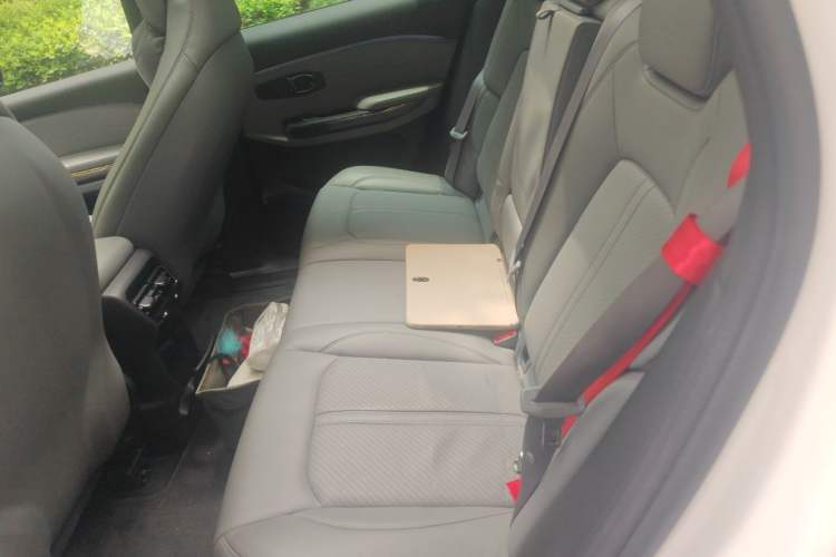 Used Nio ES6 2020 430KM Performance Version Left Rear Seat