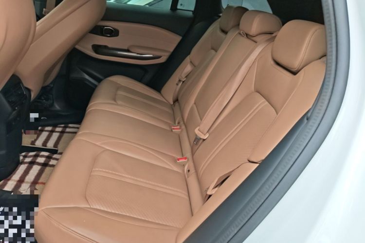 Used Nio ES6 2020 430 km Signature Edition Left Rear Seat