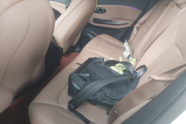 Used Nio ES6 2020 610 km Performance Version Left Rear Seat