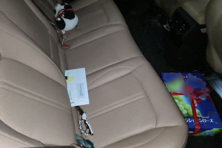 Used Nio ES6 2022 75 kWh Performance Version Left Rear Seat