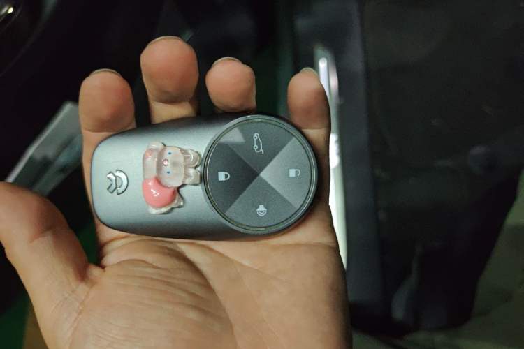Used Nio ES6 2022 75 kWh Sport Edition Vehicle Key