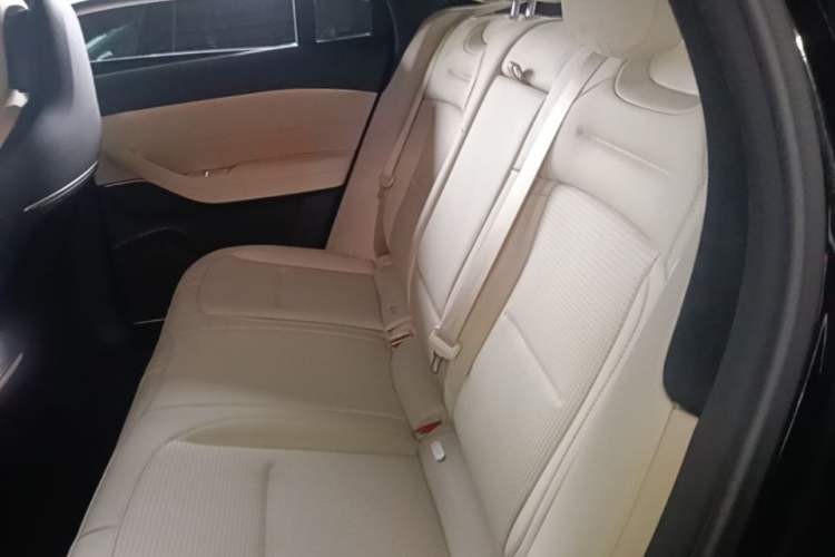 Used Nio ES6 2023 75 kWh Left Rear Seat