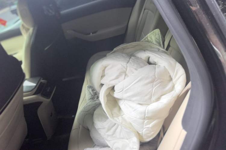 Used Nio ES6 2023 75 kWh Left Rear Seat