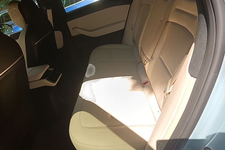 Used Nio ES6 2023 75 kWh Left Rear Seat