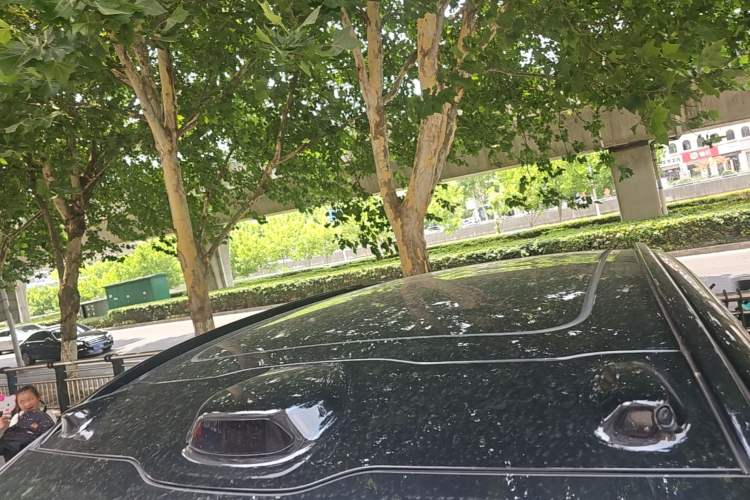 Used Nio ES6 2024 75 kWh Roof