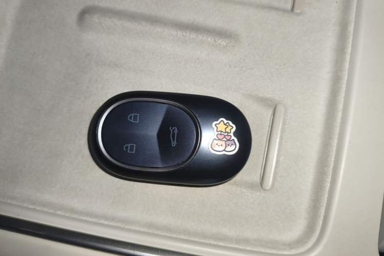 Used Nio ES6 2025 75 kWh Vehicle Key